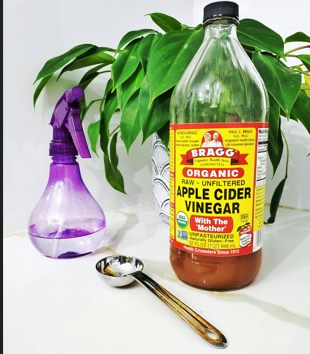 Apple Cider Vinegar used to treat ear infection