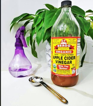 Apple Cider Vinegar used to treat ear infection