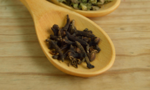 Cloves used as a remedy to control bladder function