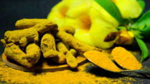 Turmeric which is used to slow down cancer cells