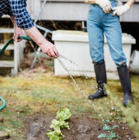 A man watering plants